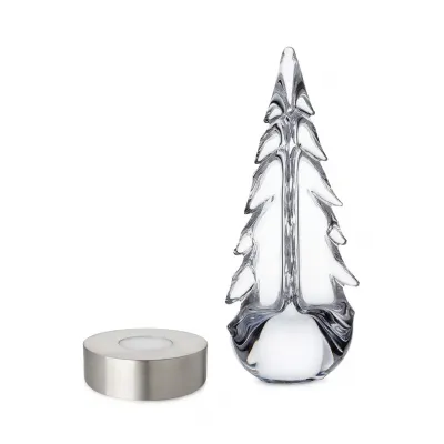 Evergreen Essentials Gift Set