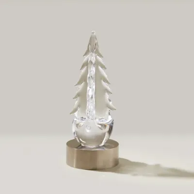 Evergreen Essentials Gift Set