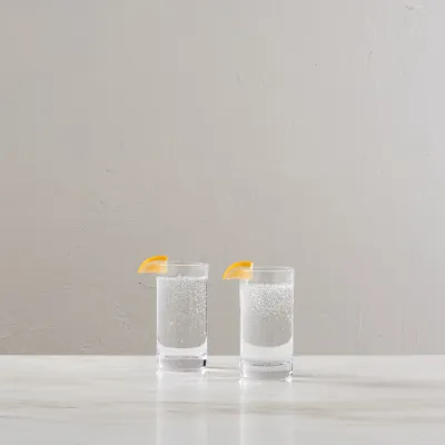 Ascutney Highball Set of 2