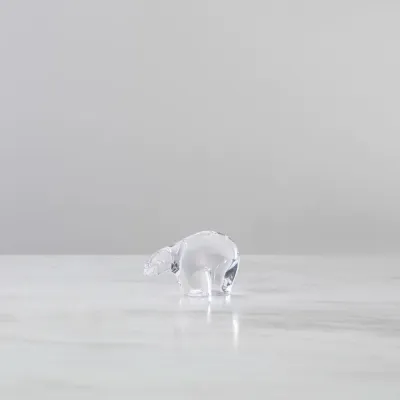Polar Bear, Small