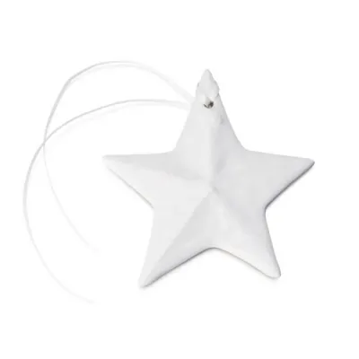 Star Pottery Ornament in Gift Box Dove