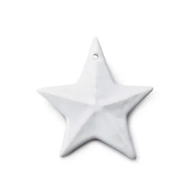 Star Pottery Ornament in Gift Box Dove