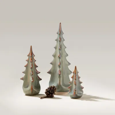 Pottery Moss Glen Evergreen in Gift Box