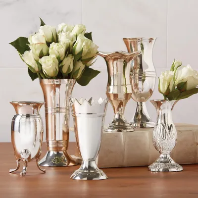 Queen Anne's Set of 6 Vases Silver-Plated Brass