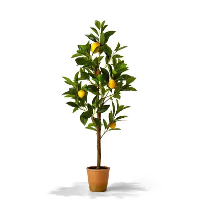 35" Faux Lemon Tree in Terracotta Pot PE/Foam/Polyester/Iron