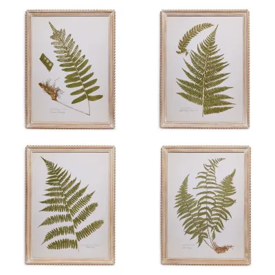 Set of Four Fanciful Fern Wall Art