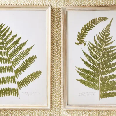 Set of Four Fanciful Fern Wall Art