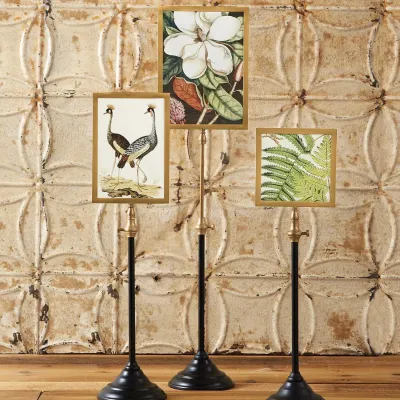 Set of Three Double Sided Photo Frames on Telescoping Pole