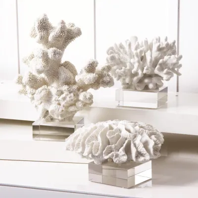 Reef Set of 3 White Coral Sculptures on Glass Stand Assorted 3 Designs Resin/Glass