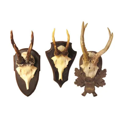 The Hunt Club Set of 3 Antler Trophy Reproductions Resin
