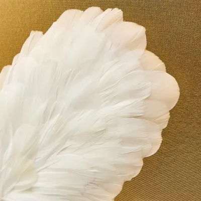 Butterfly Shadow Box Wall Art