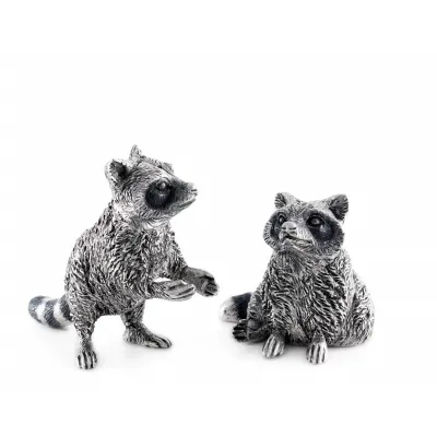 Woodland Creatures Raccoon Salt And Pepper Set