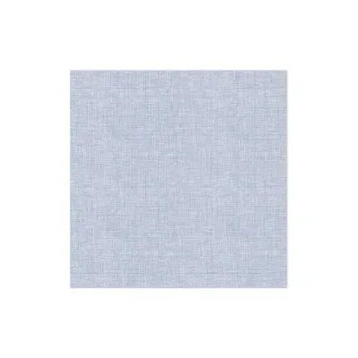 Papersoft Napkins Easy Blue Guest Towels Pack of 20