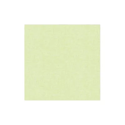 Papersoft Napkins Easy Green Guest Towels Pack of 20