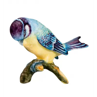Passaros Titmouse