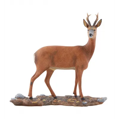Animais De Caca Roe Deer (Special Order)