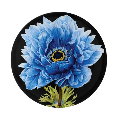 Floris Va Plate Anemone
