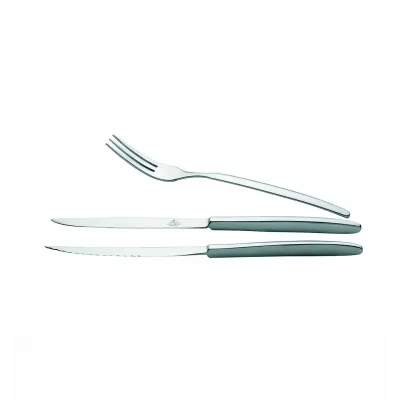 Platinum 12 Piece Set In Case