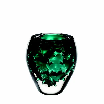 Única Case With Green Vase Graviola