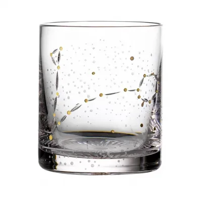 Zodiac Tumbler Pisces