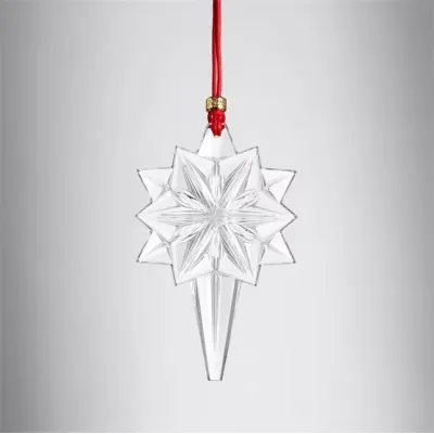 Annual Snow Star Ornament 2024