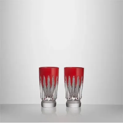 New Year Firework New Year 2026 Red Shot Glasses Set of 2