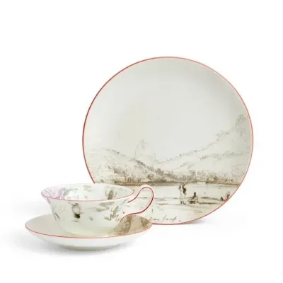 Voyage of the Beagle Darwin Brazil Teacup Saucer Plate, 3 Pieces