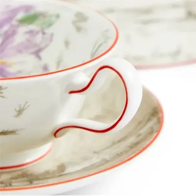 Voyage of the Beagle Darwin Brazil Teacup Saucer Plate, 3 Pieces