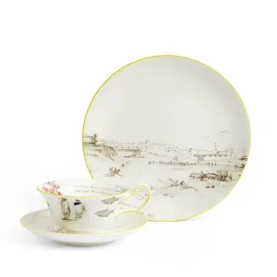 Voyage of the Beagle Darwin Uruguay Teacup Saucer Plate, 3 Pieces