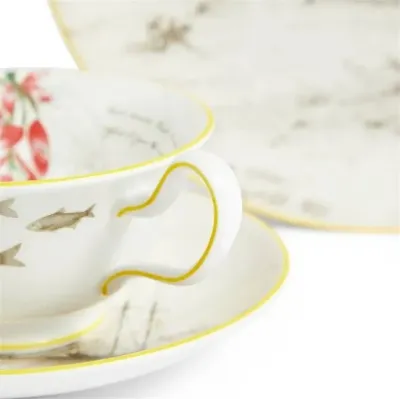 Voyage of the Beagle Darwin Uruguay Teacup Saucer Plate, 3 Pieces