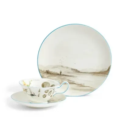 Voyage of the Beagle Darwin Patagonia Teacup Saucer Plate, 3 Pieces