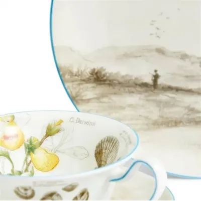 Voyage of the Beagle Darwin Patagonia Teacup Saucer Plate, 3 Pieces
