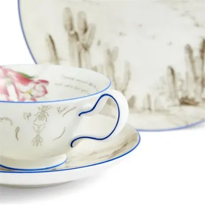 Voyage of the Beagle Darwin Chile Teacup Saucer Plate 3 Pieces