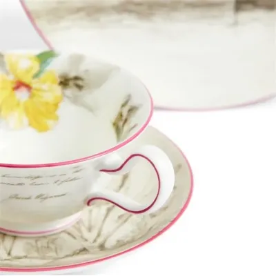 Voyage of the Beagle Darwin Galapagos Islands Teacup Saucer Plate, 3 Pieces