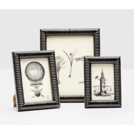 Metz Black Lacquered Resin Picture Frames