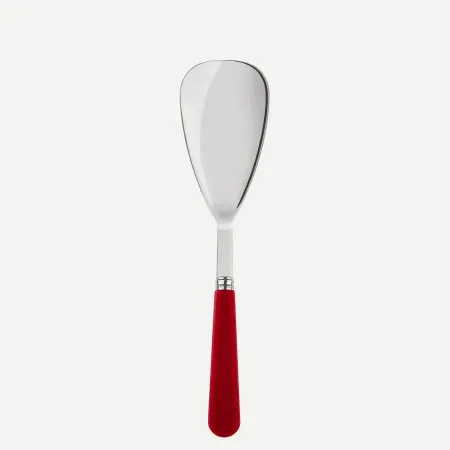 Duo Red Rice Spoon