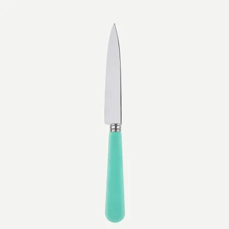 Duo Turquoise Kitchen Knife