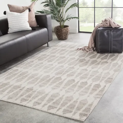 Jaipur Living Cambridge Season CMB02 Gray Area Rug 8'x10