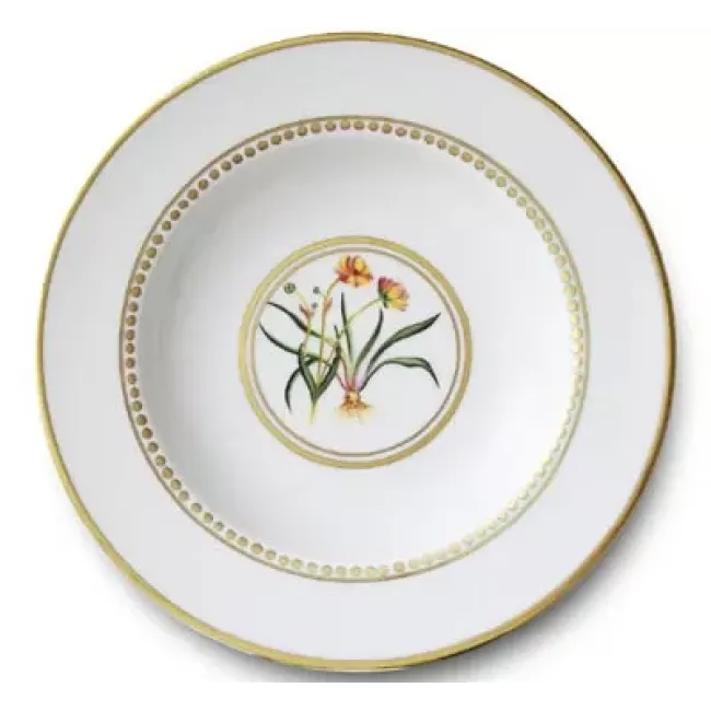 Botanique Soup Plate 8.5 in Rd