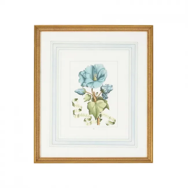 Bl Floral W/Ribbon A Hand Colored Engraving