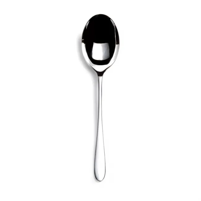 Pride Stainless Serving Spoon