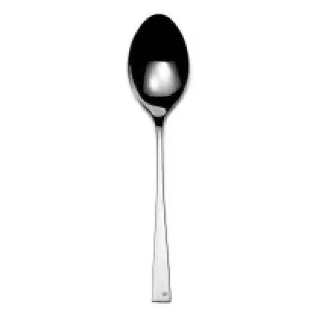 Embassy Stainless Serving Spoon