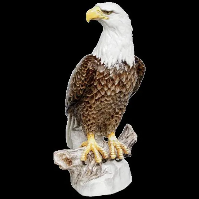 Exclusive Collection Bald Eagle H 78 Cm