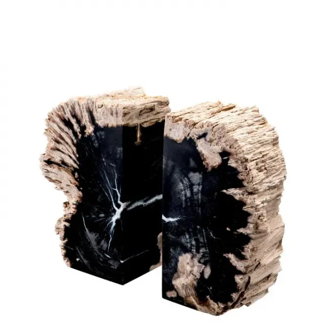 Opia Petrified Wood Set of 2 Bookends