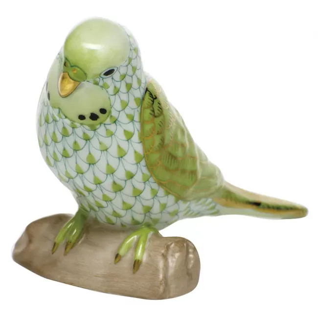 Parakeet Key Lime 4 in L X 2.75 in H