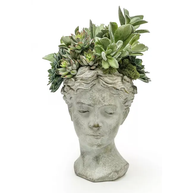 Classical Bust With Succulents 11 x 12 x 15.5"