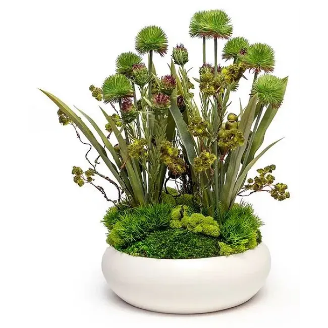 Green Meadow In White Bowl
