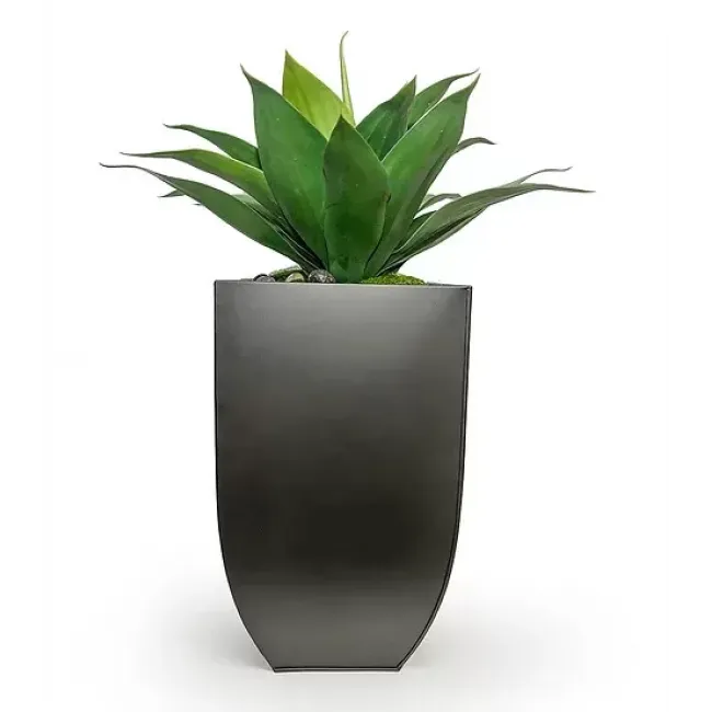 Agave in Tall Black Zinc