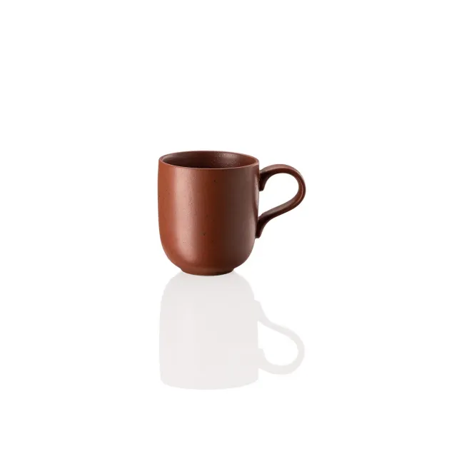 Joyn Stoneware Spark Mug w/ Handle 13 1/2 oz