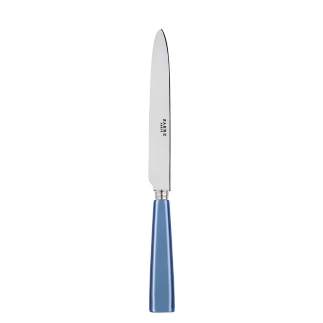Icon Light Blue Dinner Knife 9.25"
